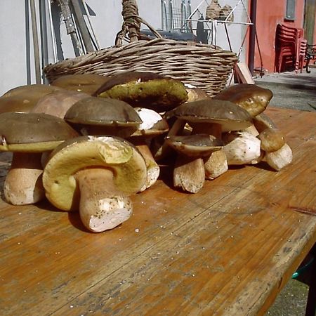 Agriturismo Ca Rossano Licciana Nardi Kültér fotó