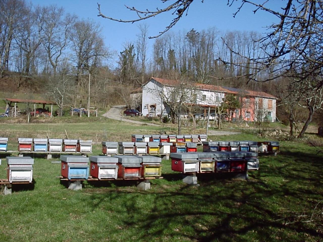 Agriturismo Ca Rossano Licciana Nardi Kültér fotó
